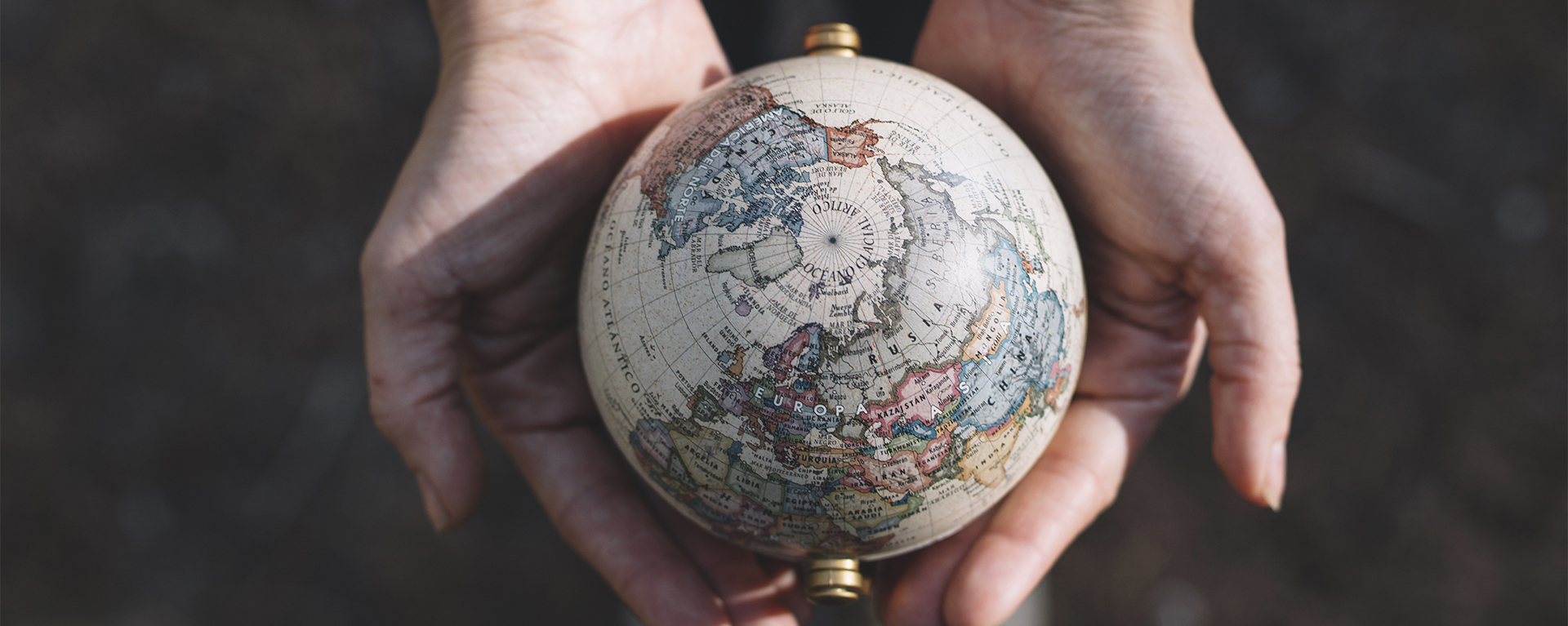 International Business Experience Header